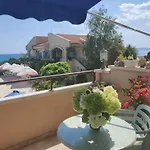 Sun And Flowers In Front Of The Sea Topola
