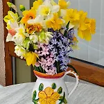 Sun And Flowers In Front Of The Sea *