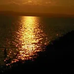 Sun And Flowers In Front Of The Sea Topola