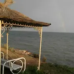 Sun And Flowers In Front Of The Sea