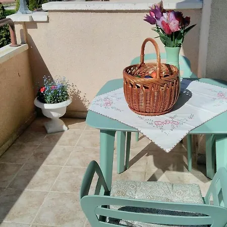 Sun And Flowers In Front Of The Sea Apartment