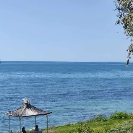 Daire Sun And Flowers In Front Of The Sea