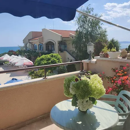 Sun And Flowers In Front Of The Sea Topola